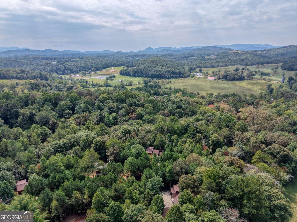 193 Windy Valley Trail Blue Ridge - 36