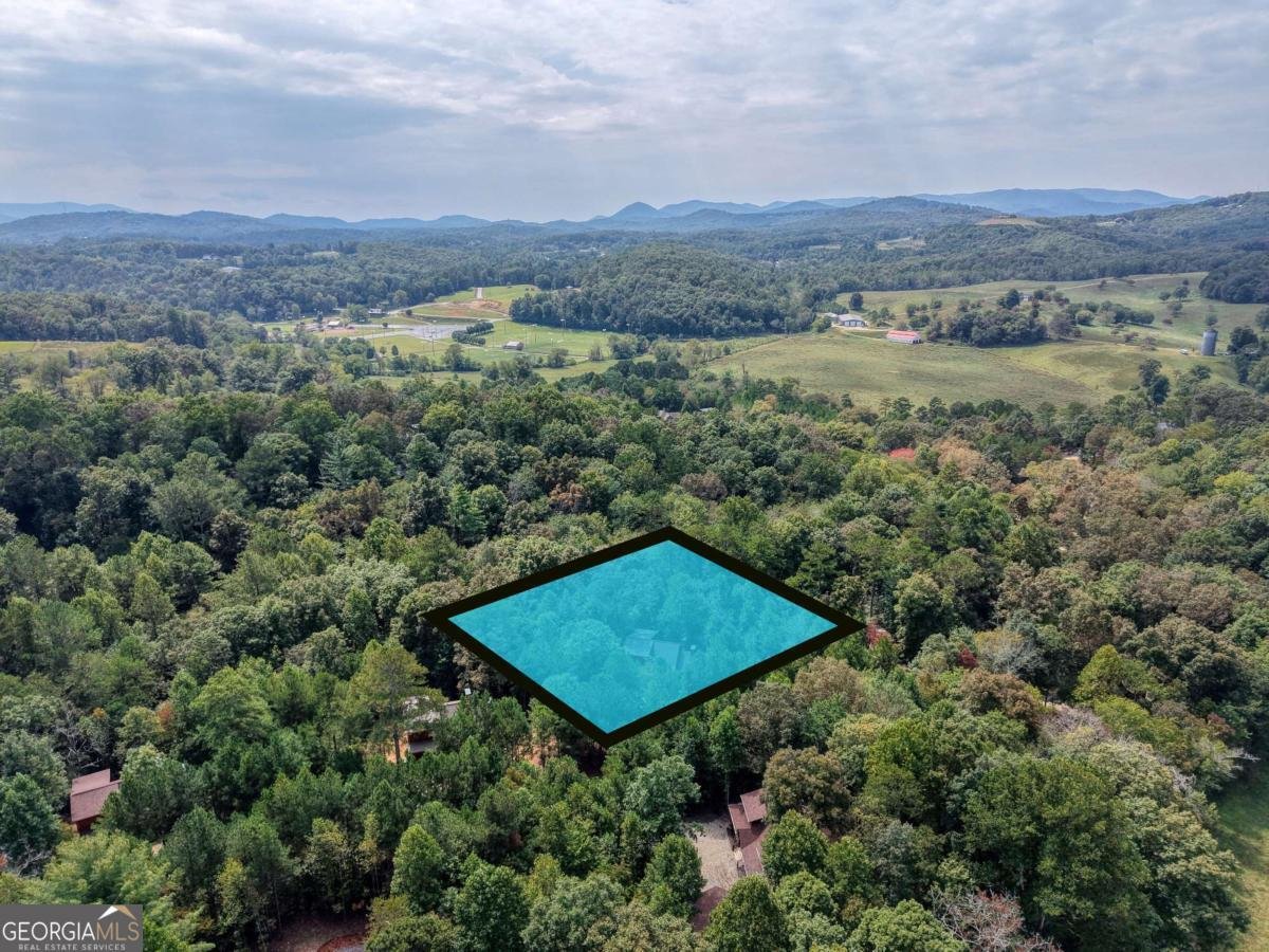 193 Windy Valley Trail Blue Ridge - 64