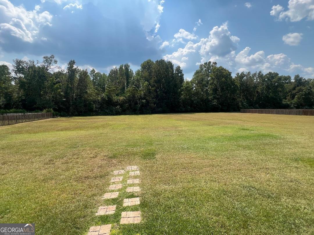 324 Farmington Road Statesboro - 6