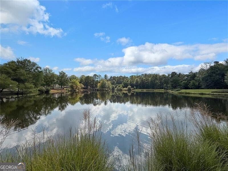 2718 Wander Lane Alpharetta - 33