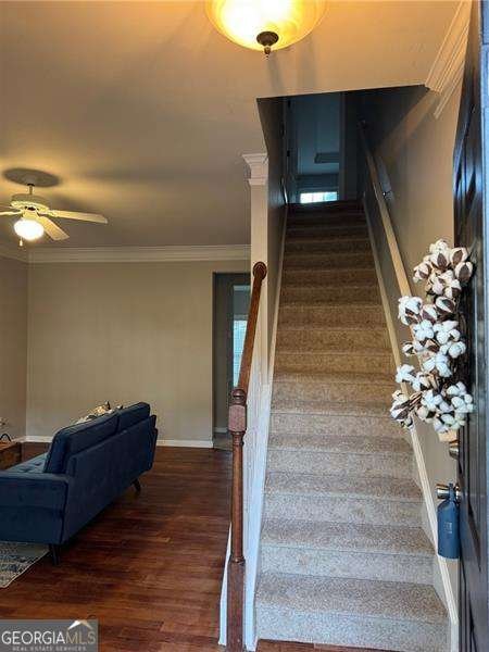 826 Ash Street Canton - 3