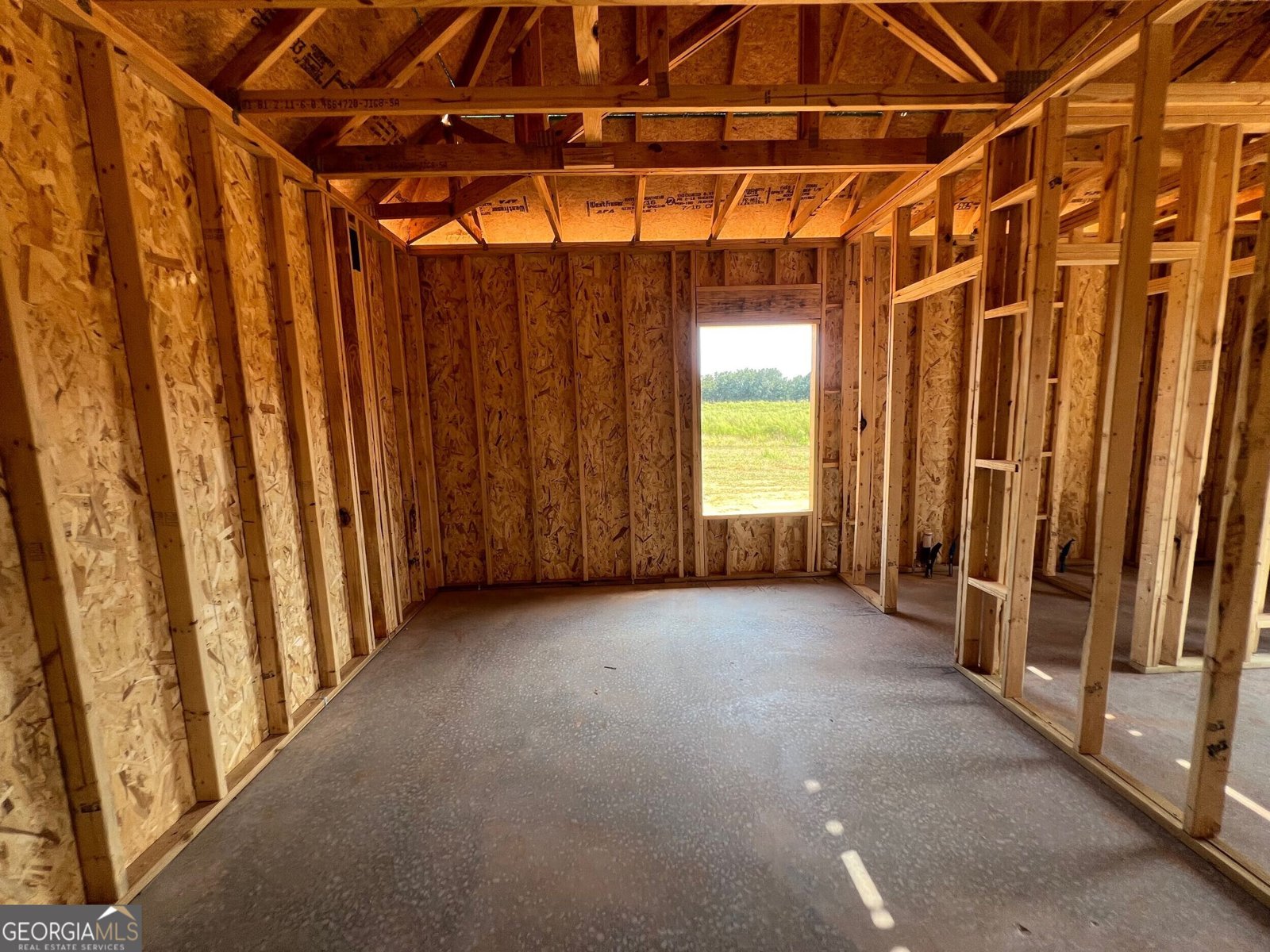 LOT 12 GA Hwy 362 Williamson - 18