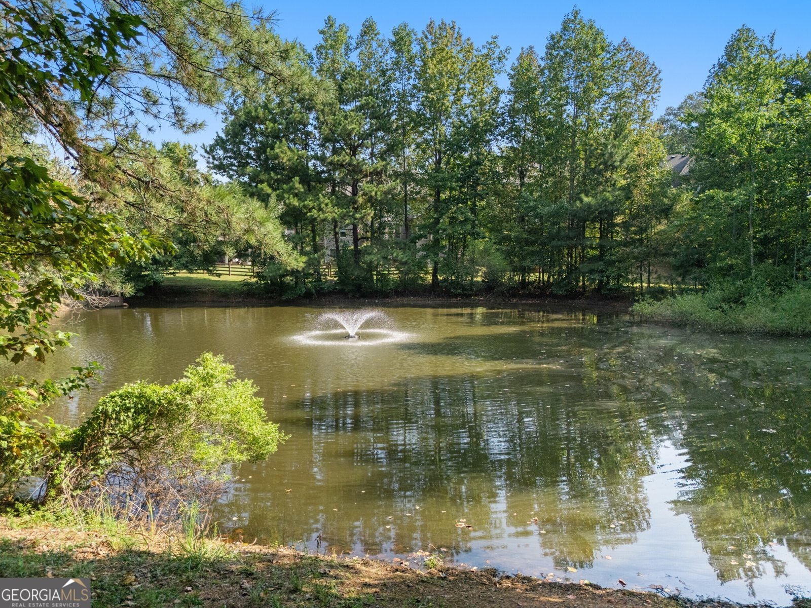 1351 Ashbury Park Way Hoschton - 60