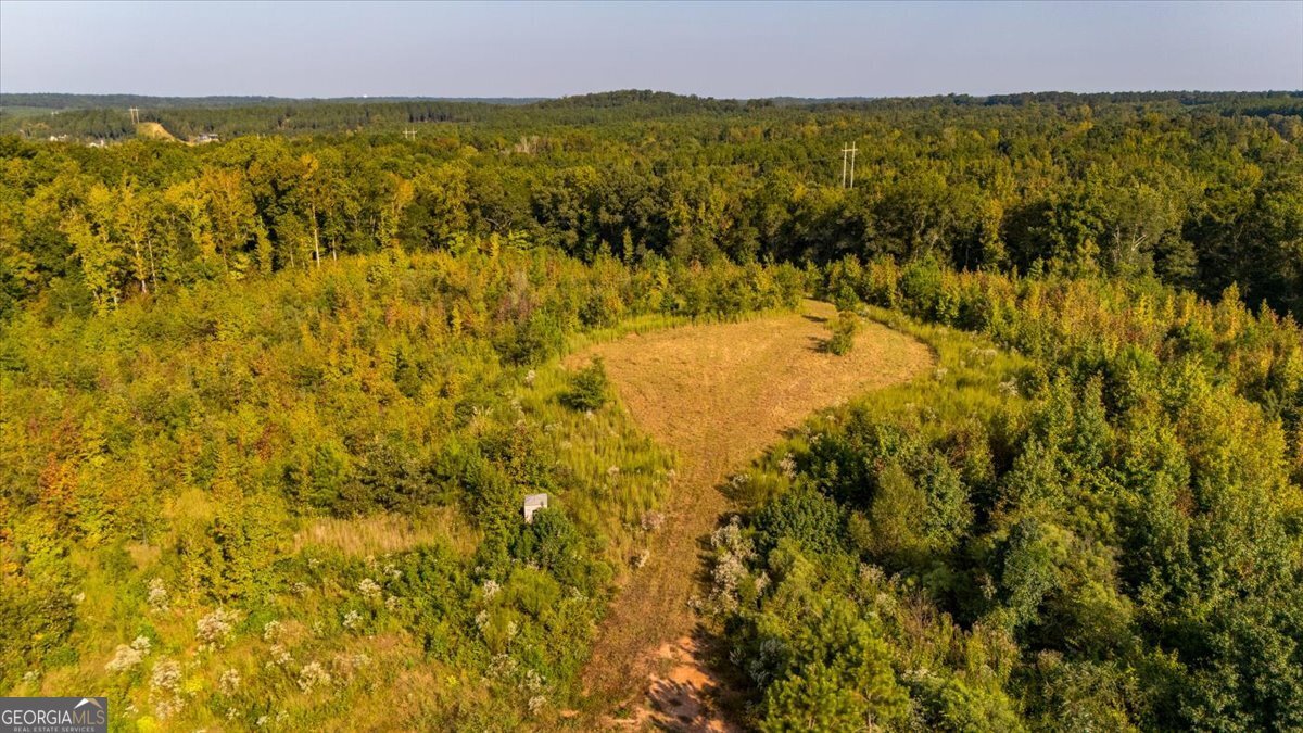 1636 Cook Road Monticello - 34