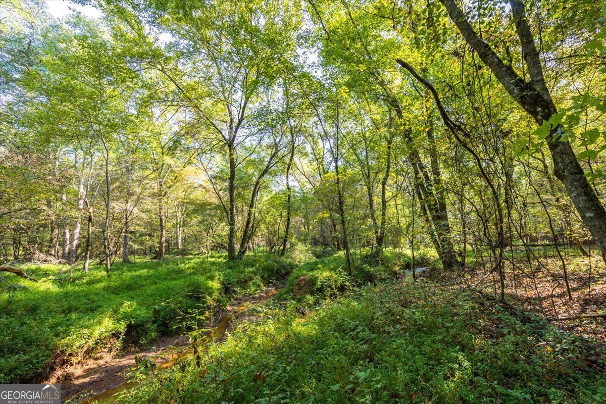 1636 Cook Road Monticello - 48