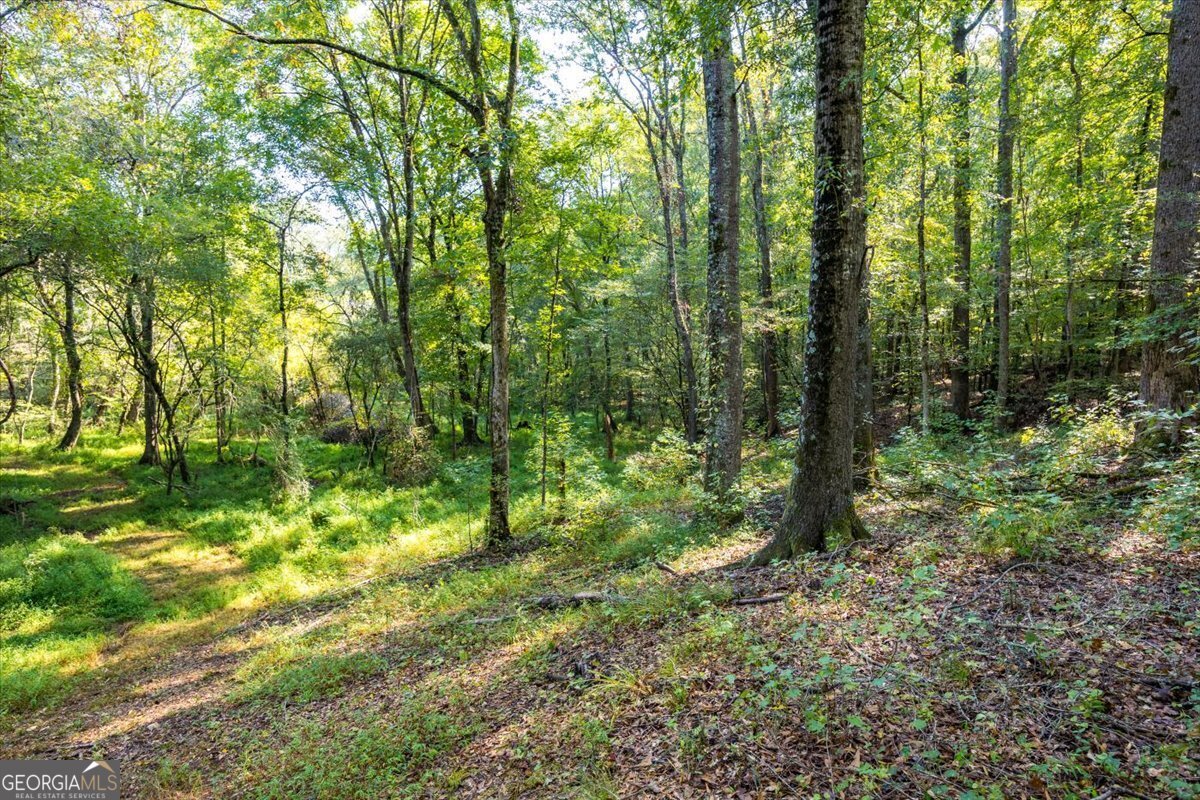 1636 Cook Road Monticello - 51