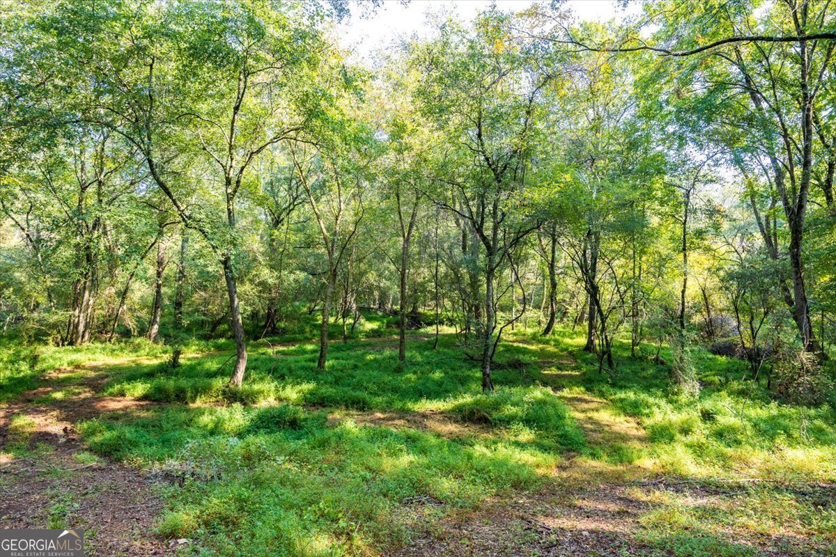 1636 Cook Road Monticello - 52