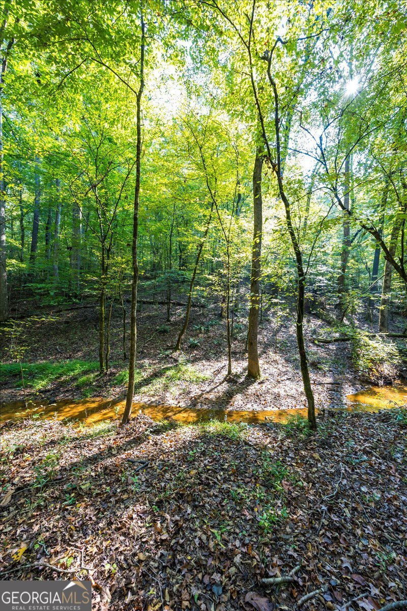 1636 Cook Road Monticello - 56