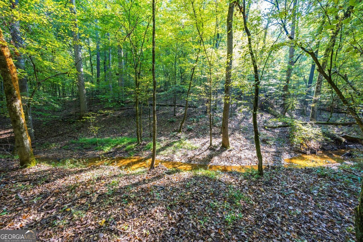 1636 Cook Road Monticello - 57