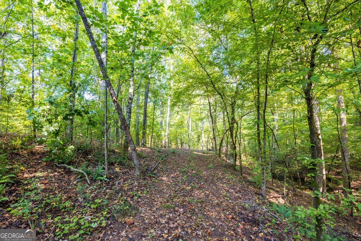 1636 Cook Road Monticello - 58