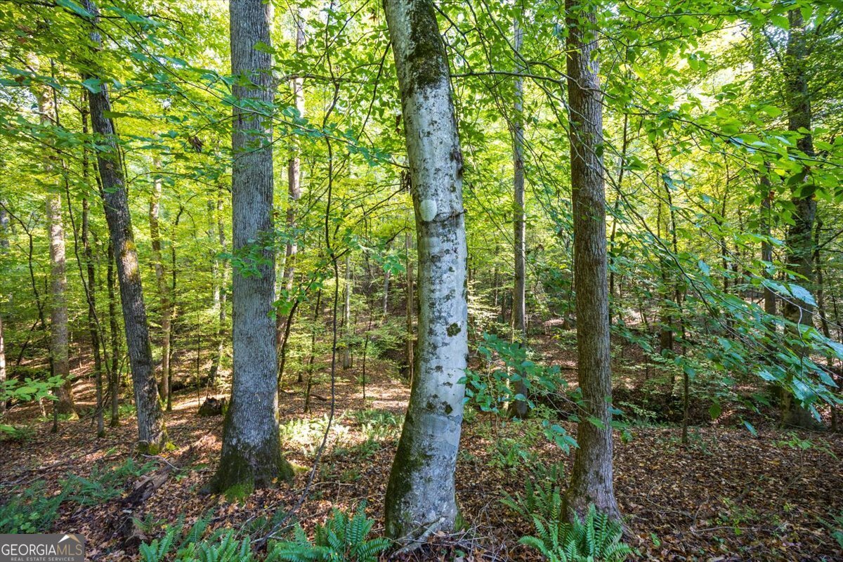 1636 Cook Road Monticello - 59