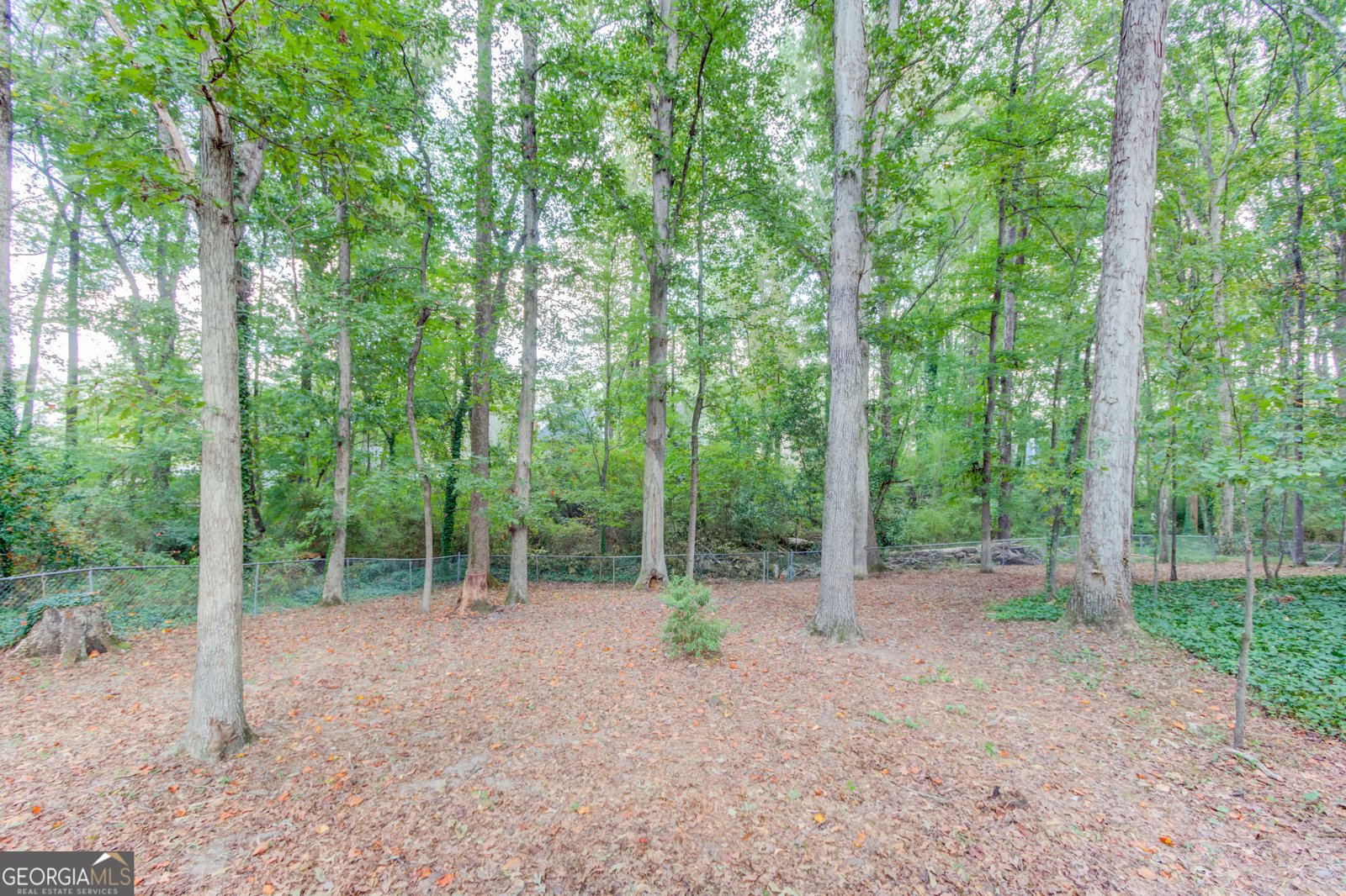 2405 IVY Way Snellville - 28