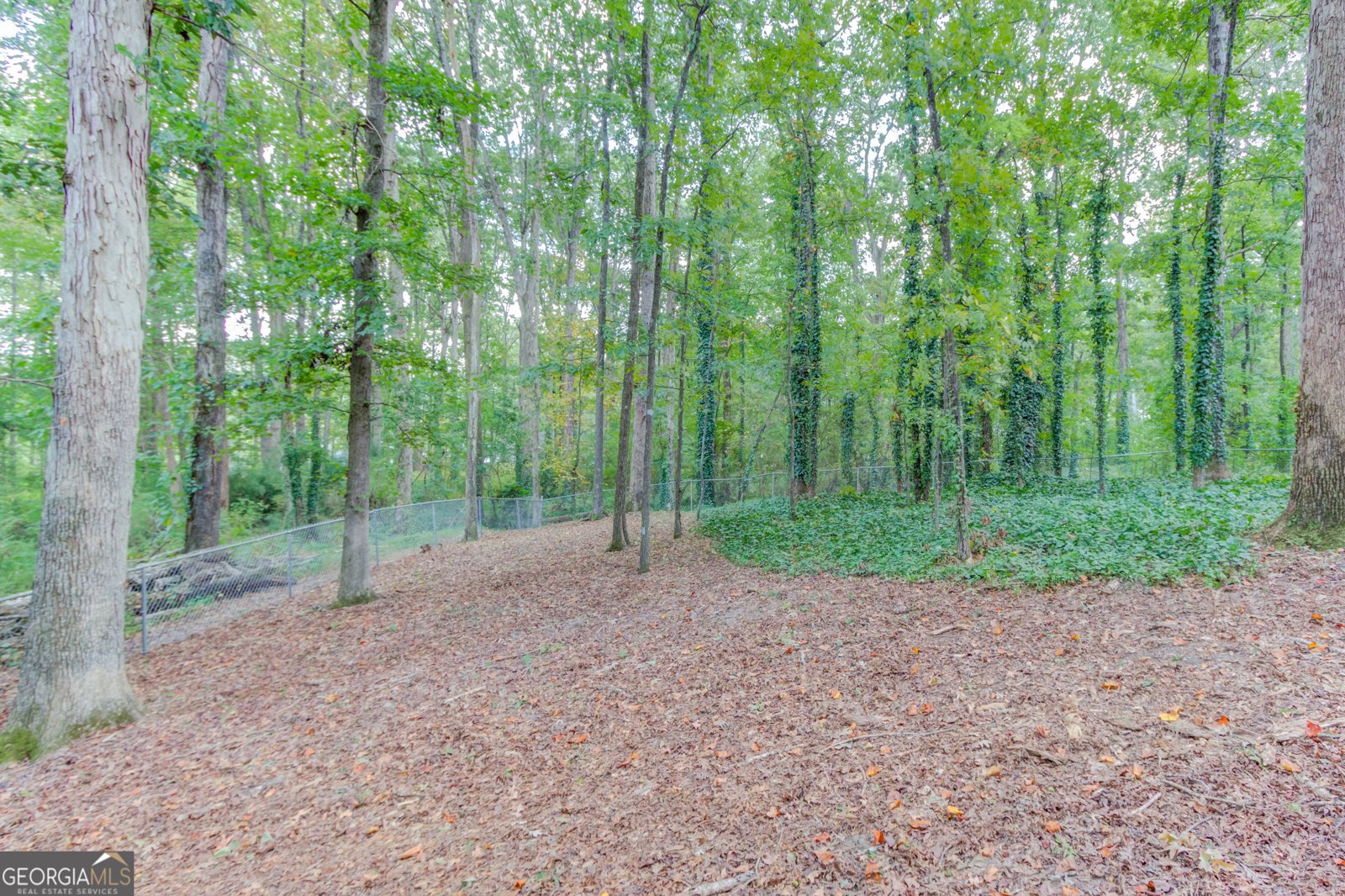 2405 IVY Way Snellville - 30