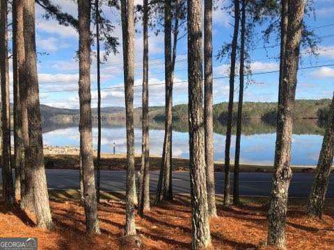 172 Cherokee Drive Waleska - 7