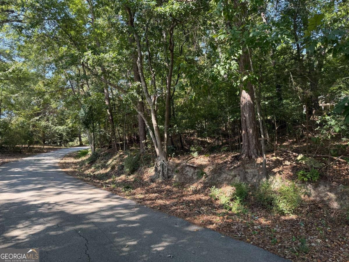 2392 Lakeshore Drive Conyers - 1