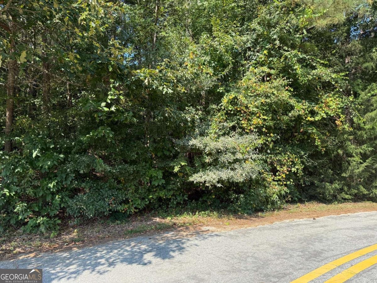 2392 Lakeshore Drive Conyers - 2