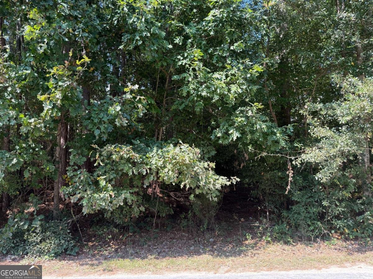 2392 Lakeshore Drive Conyers - 3