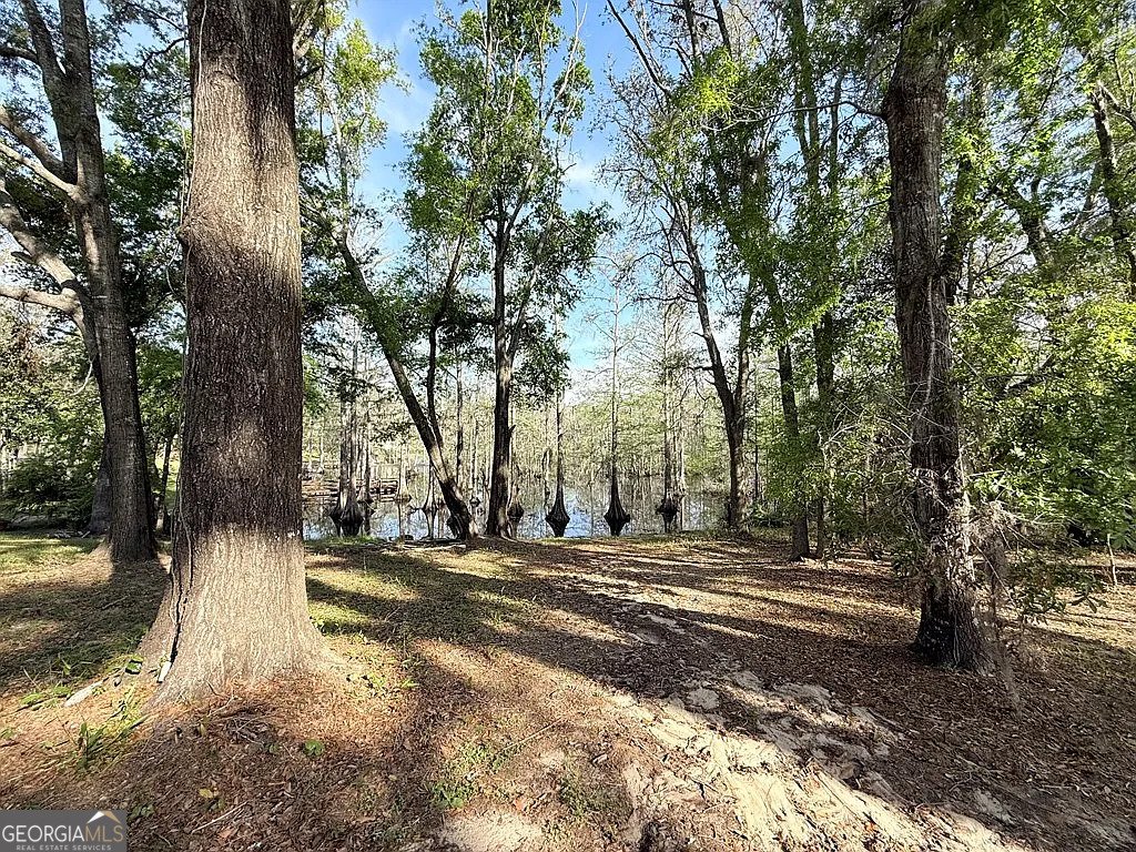 5202 Cypress Drive Lake Park - 49