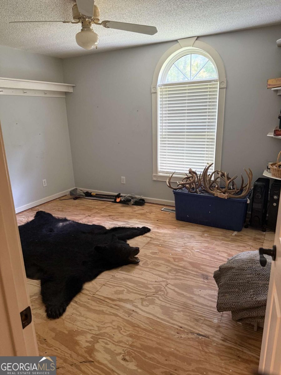 2234 Providence Church Road Tallapoosa - 12