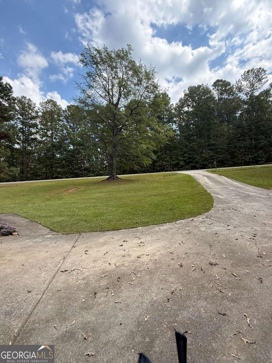 2234 Providence Church Road Tallapoosa - 25