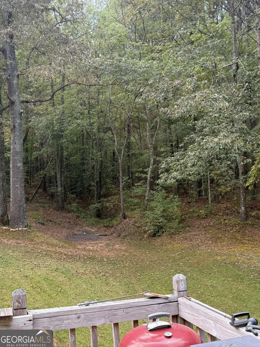 2234 Providence Church Road Tallapoosa - 27
