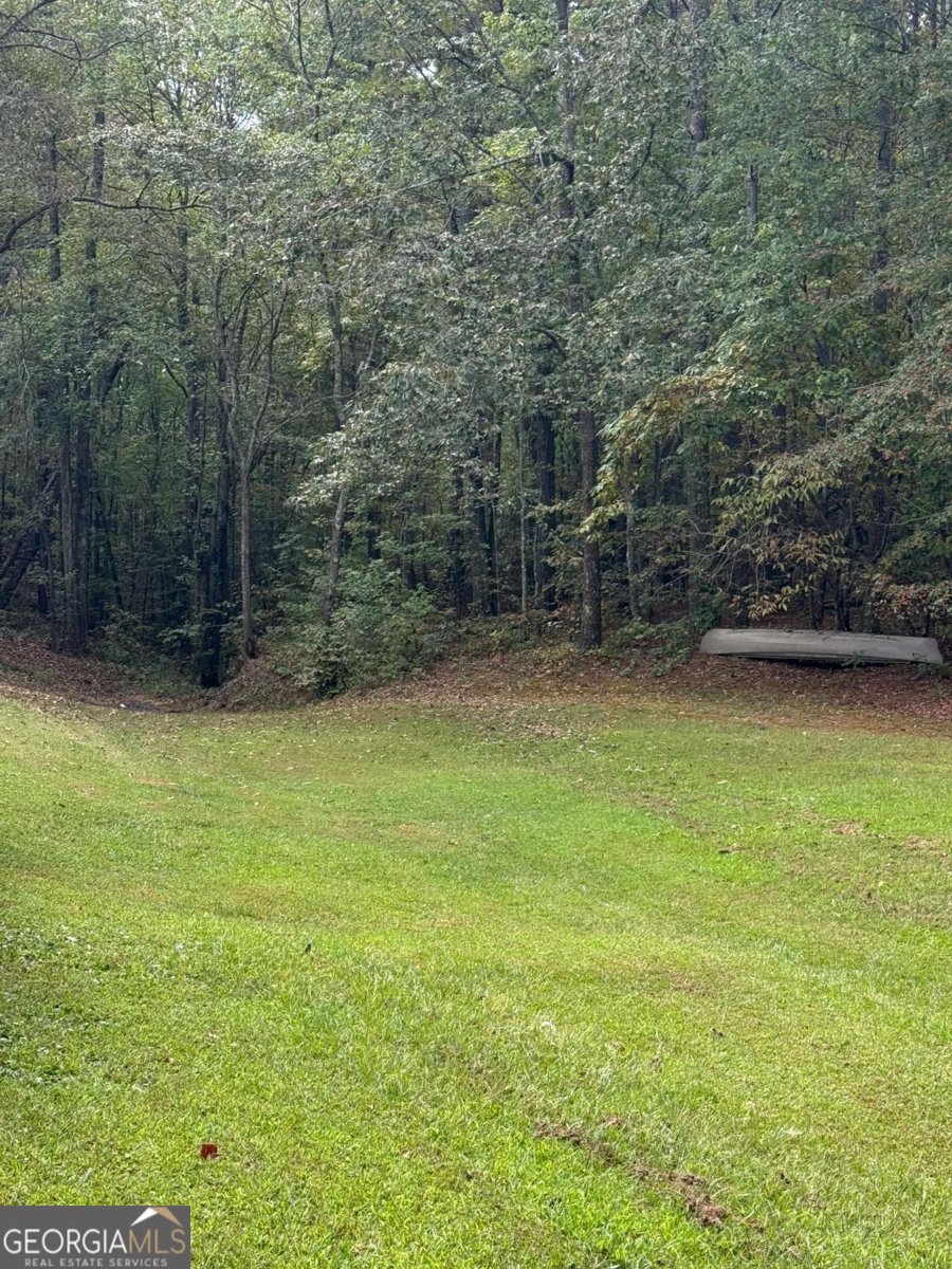 2234 Providence Church Road Tallapoosa - 29