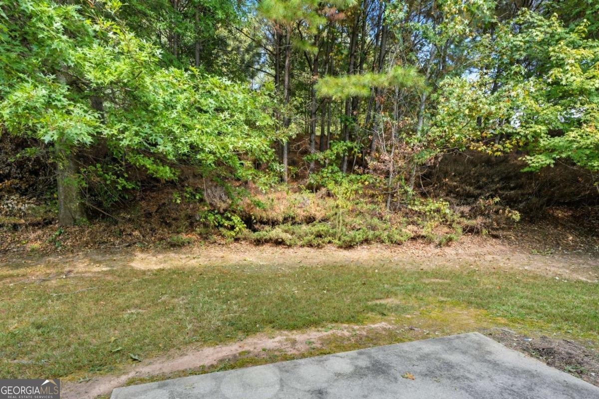 3153 Daleview Way Atlanta - 25