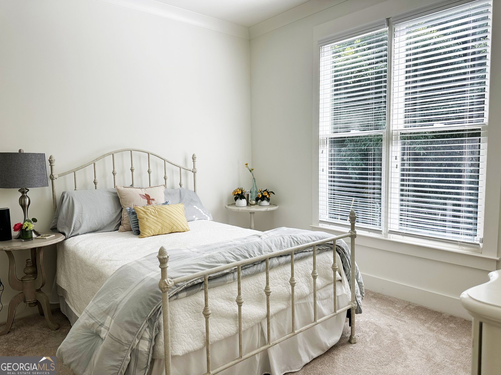 146 Middle Street Senoia - 11