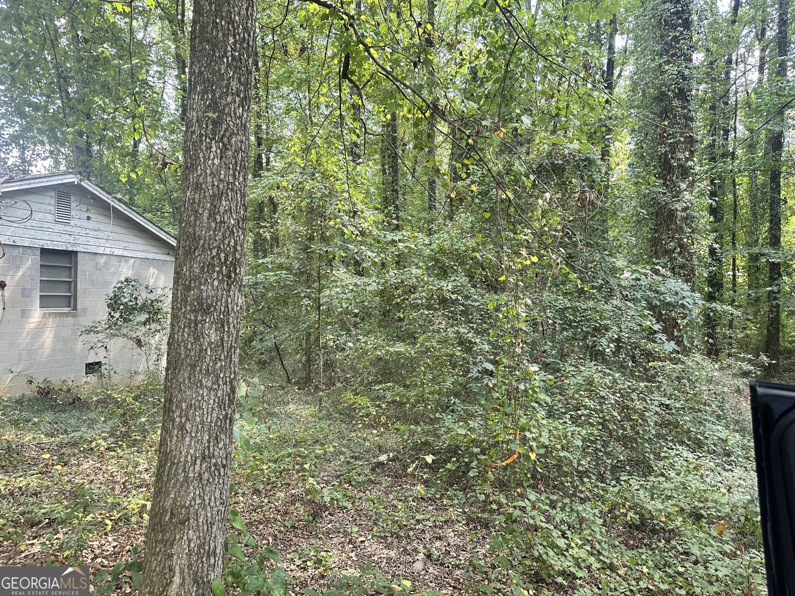 1799 Braselton Highway Lawrenceville - 4