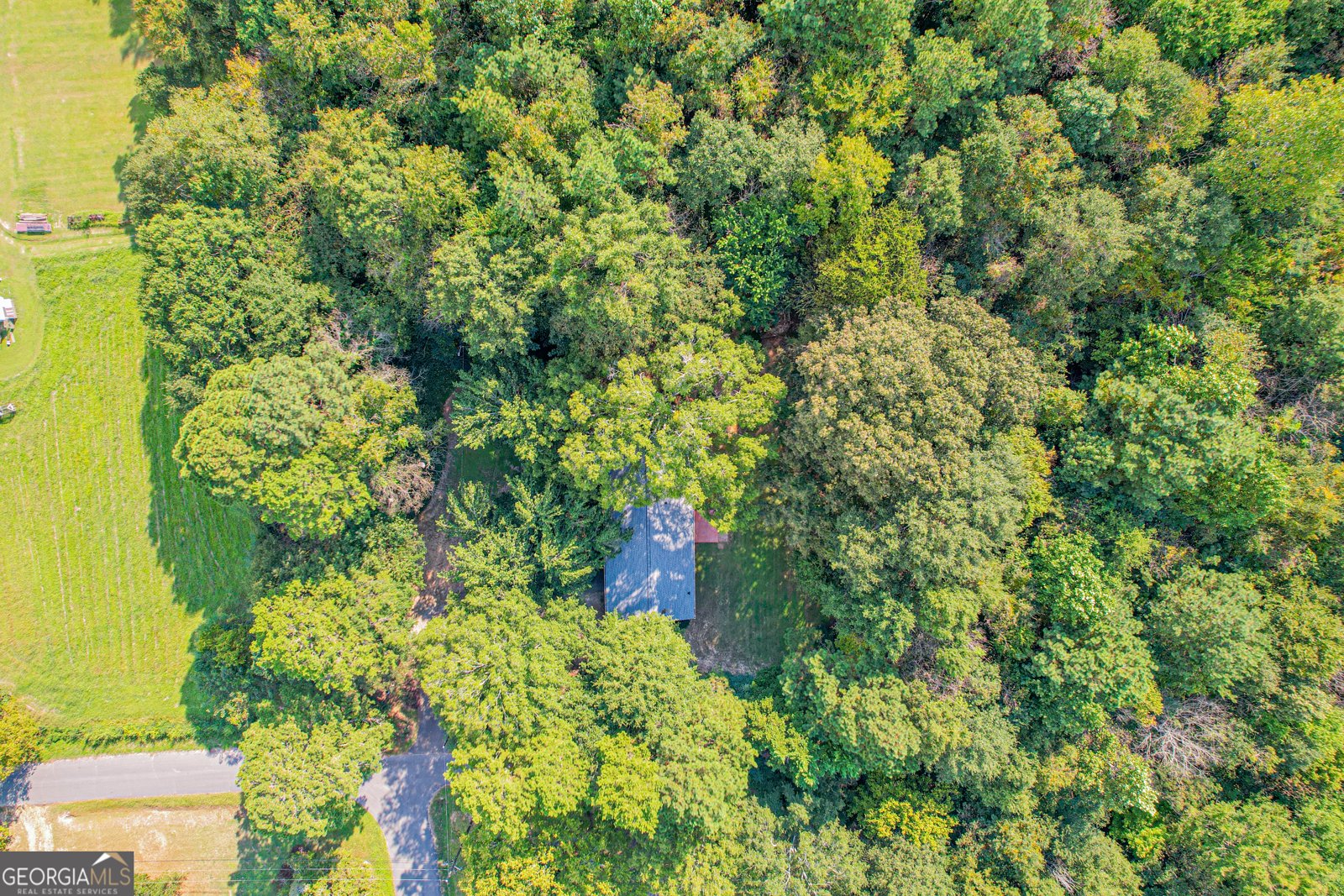 184 Azalea Drive Summerville - 42