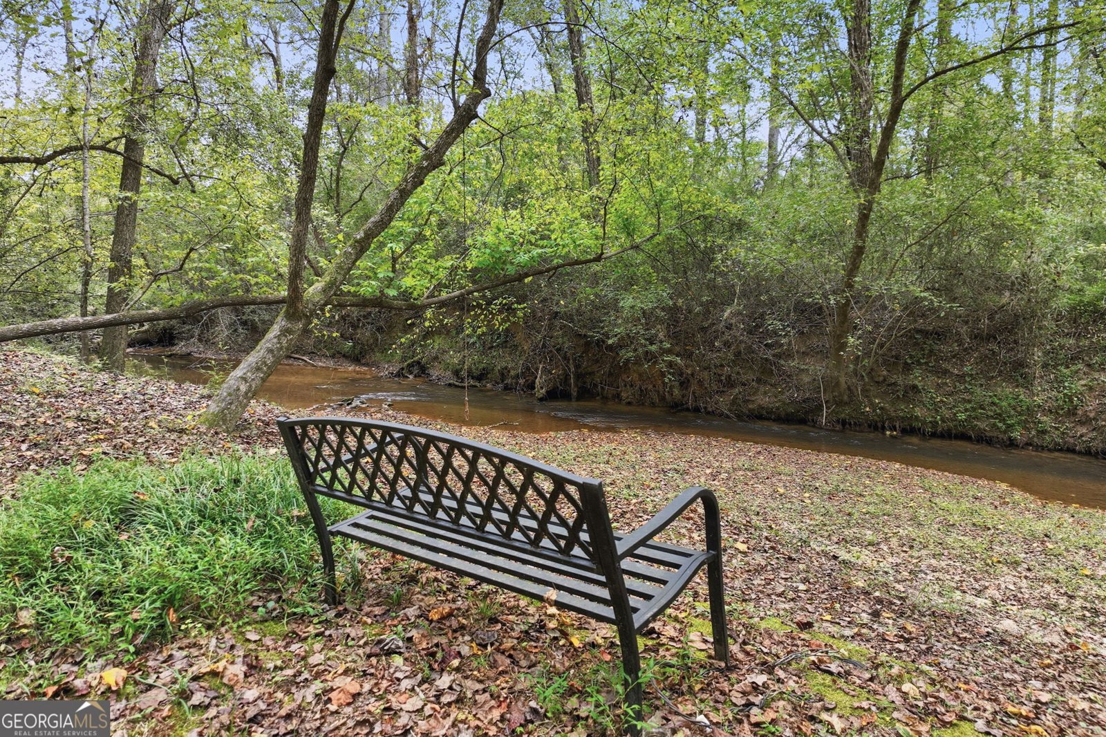 399 Grindstone Creek Drive Clarkesville - 1