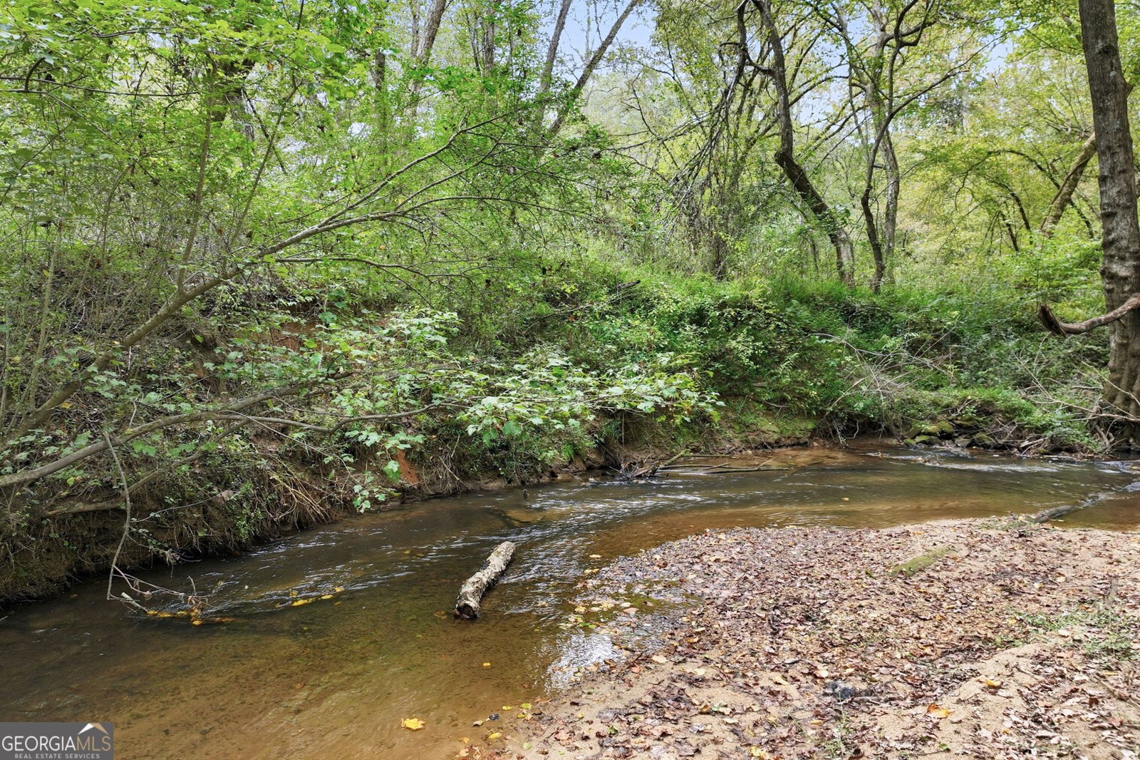 399 Grindstone Creek Drive Clarkesville - 2