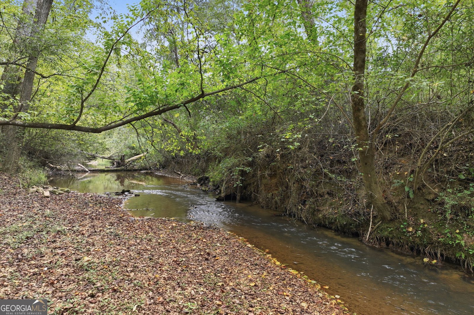 399 Grindstone Creek Drive Clarkesville - 4