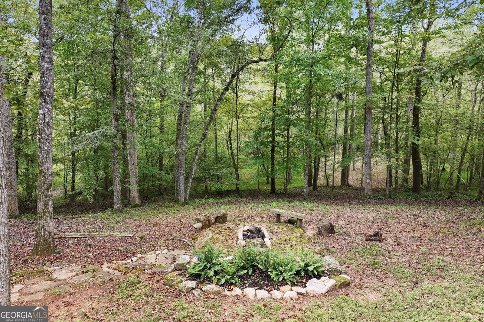 399 Grindstone Creek Drive Clarkesville - 61