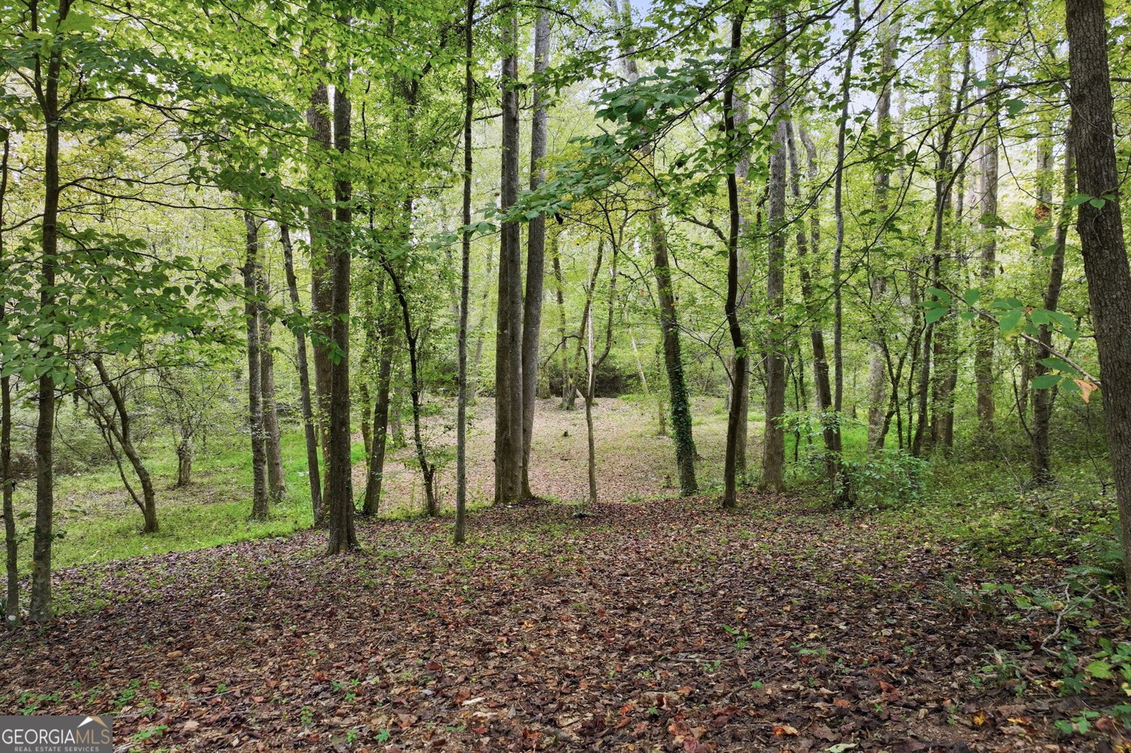 399 Grindstone Creek Drive Clarkesville - 62