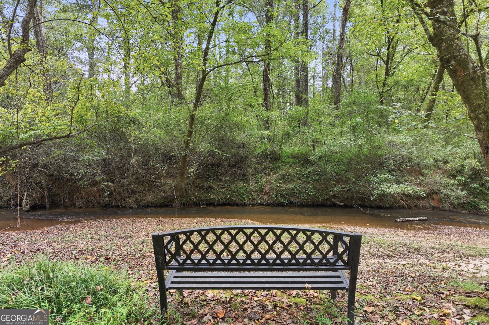 399 Grindstone Creek Drive Clarkesville - 63