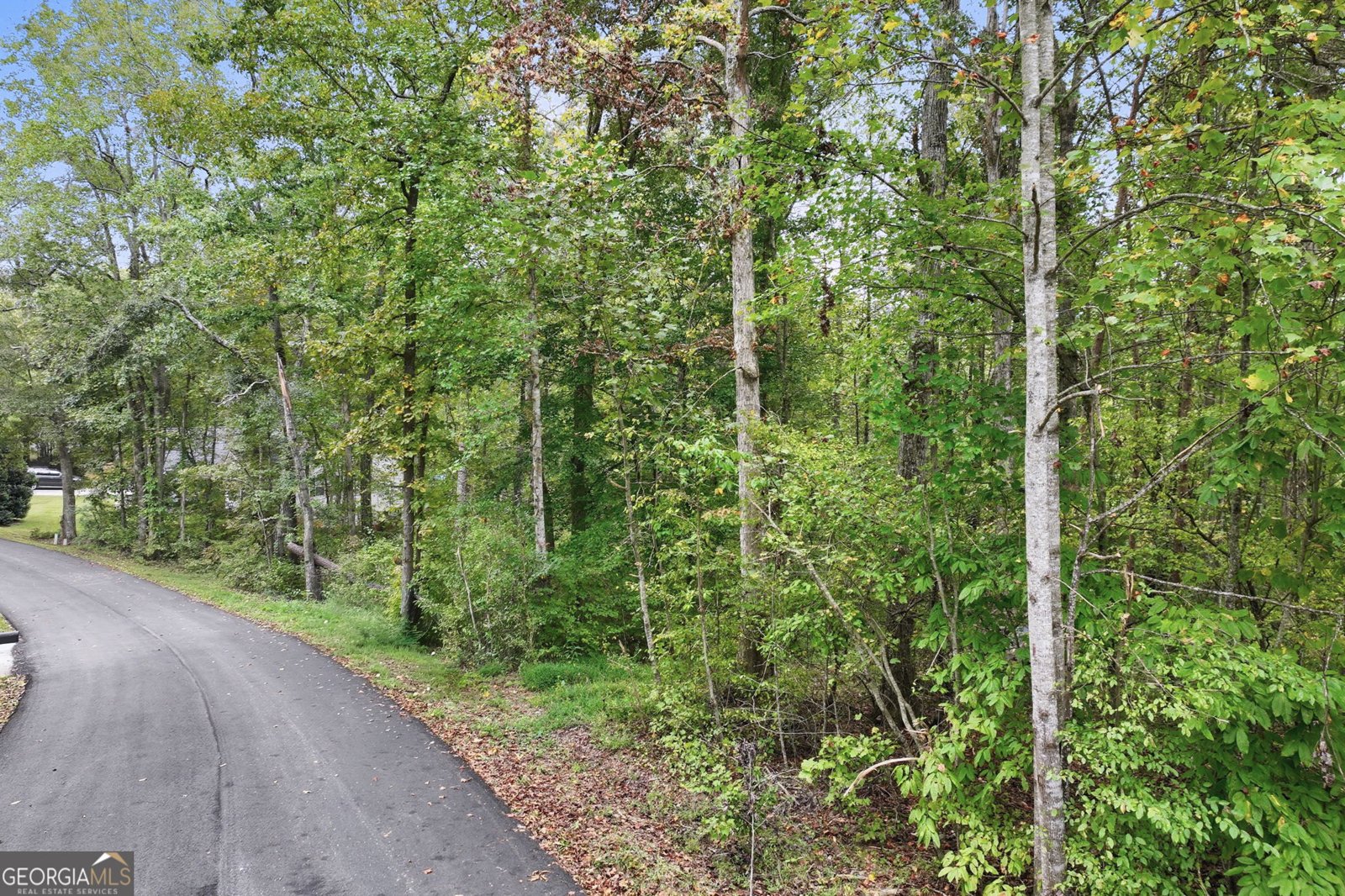 399 Grindstone Creek Drive Clarkesville - 7