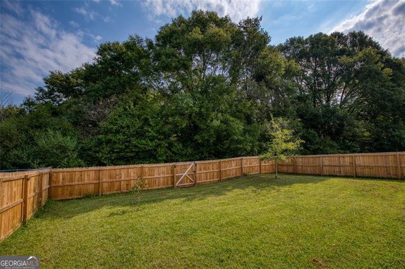 173 Crest View Drive Carnesville - 33