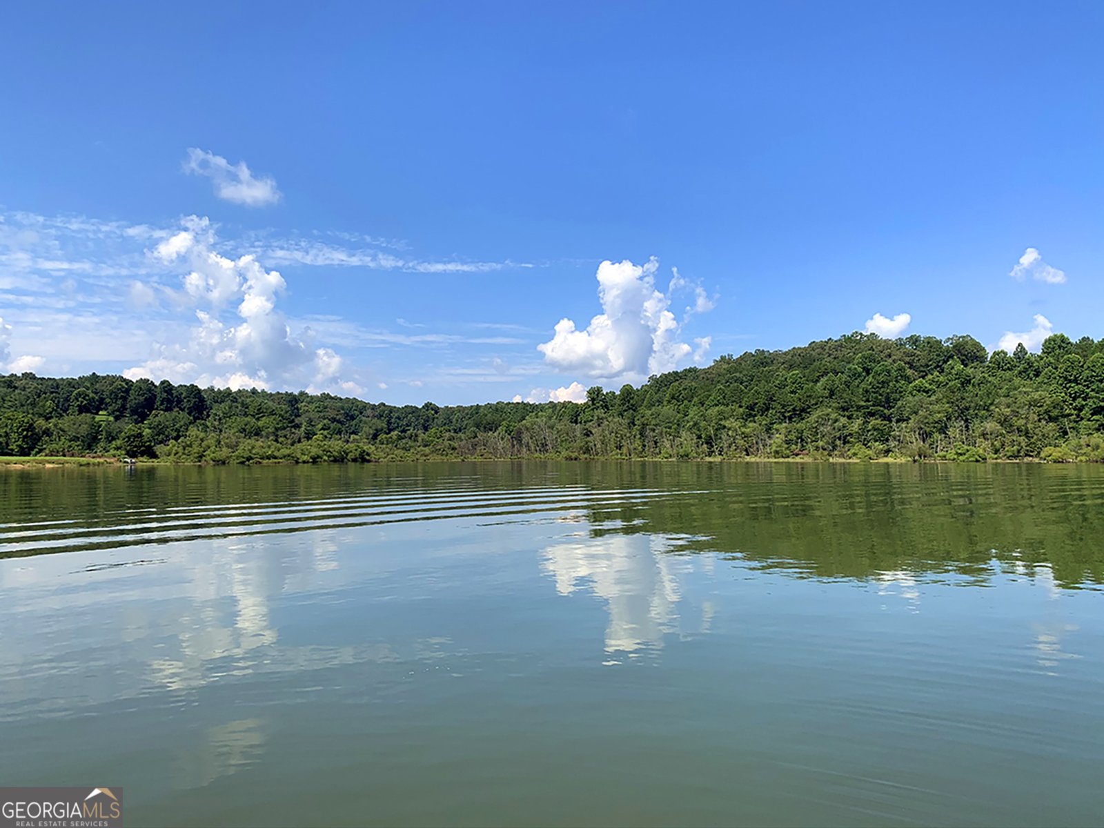 251 Walnut Road Blairsville - 46