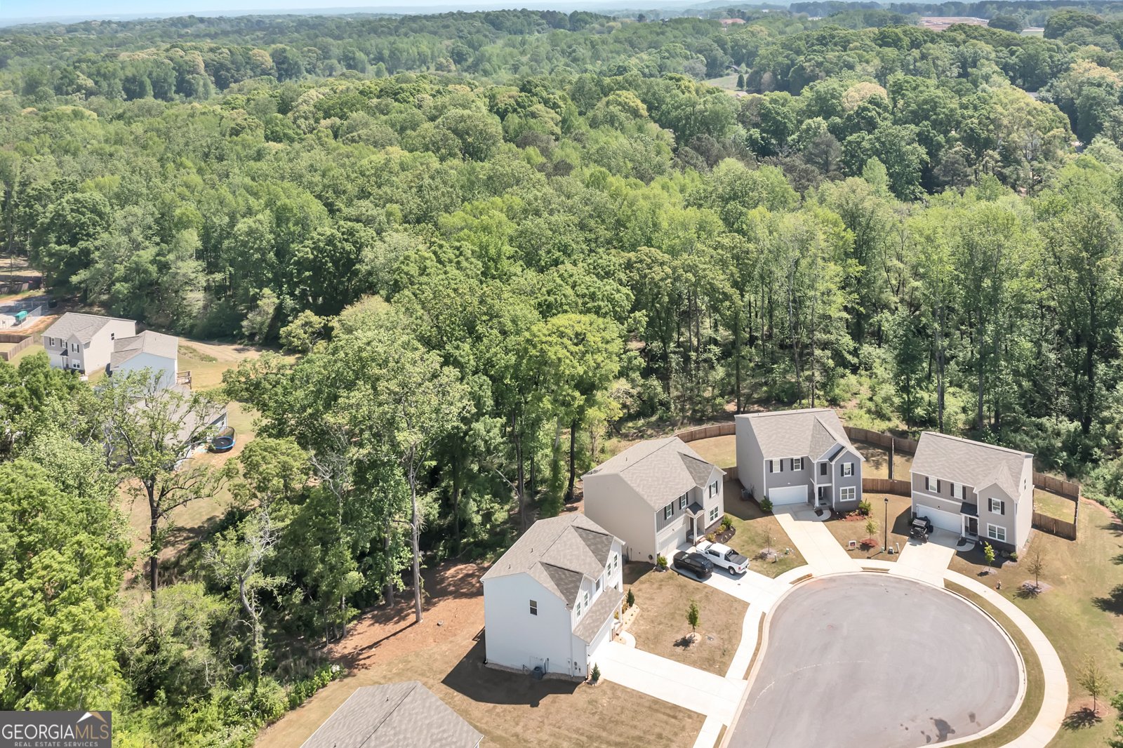 289 Pond Court Hoschton - 8