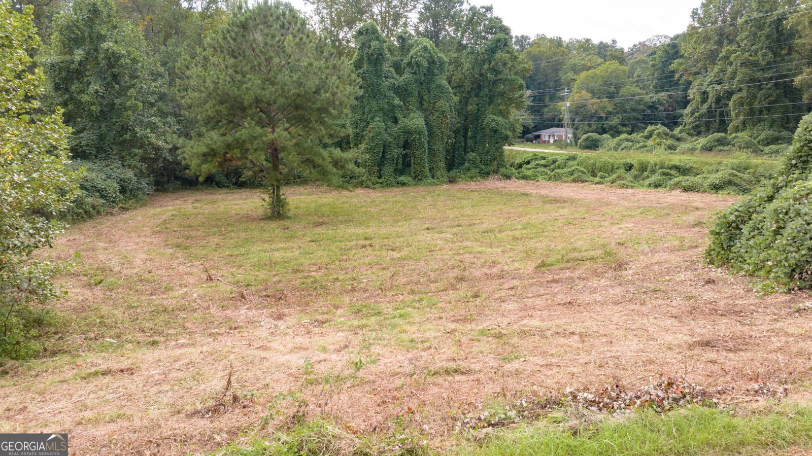 1386 441 Old Hist Highway Clarkesville - 5