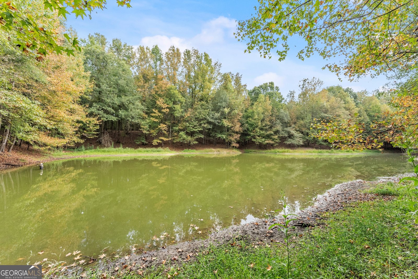 3322 Cheek Pulliam Road Royston - 41