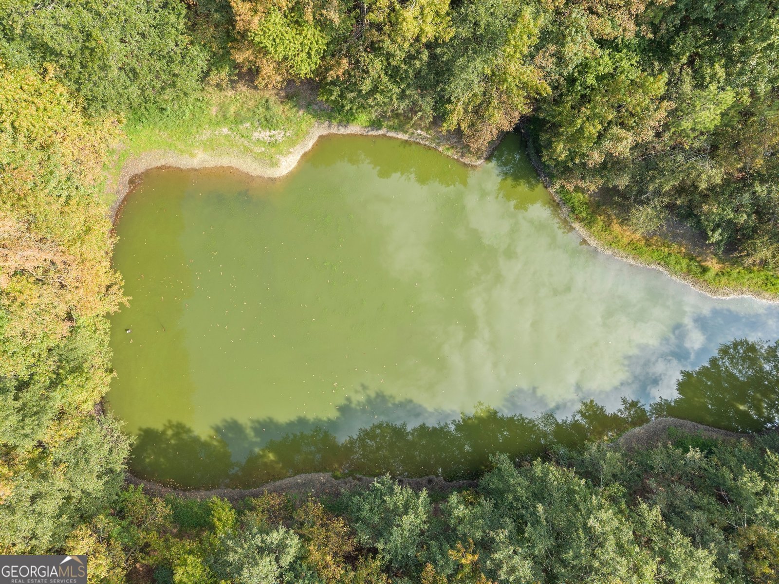 3322 Cheek Pulliam Road Royston - 52