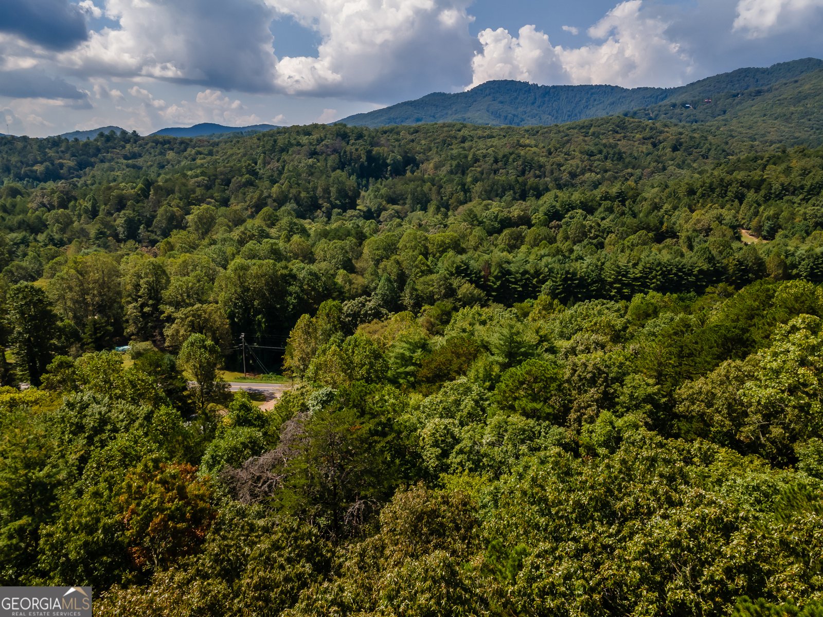 151 Pinewood Drive Murphy - 39