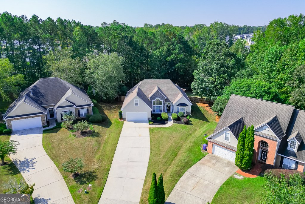 408 Big Leaf Walk McDonough - 17
