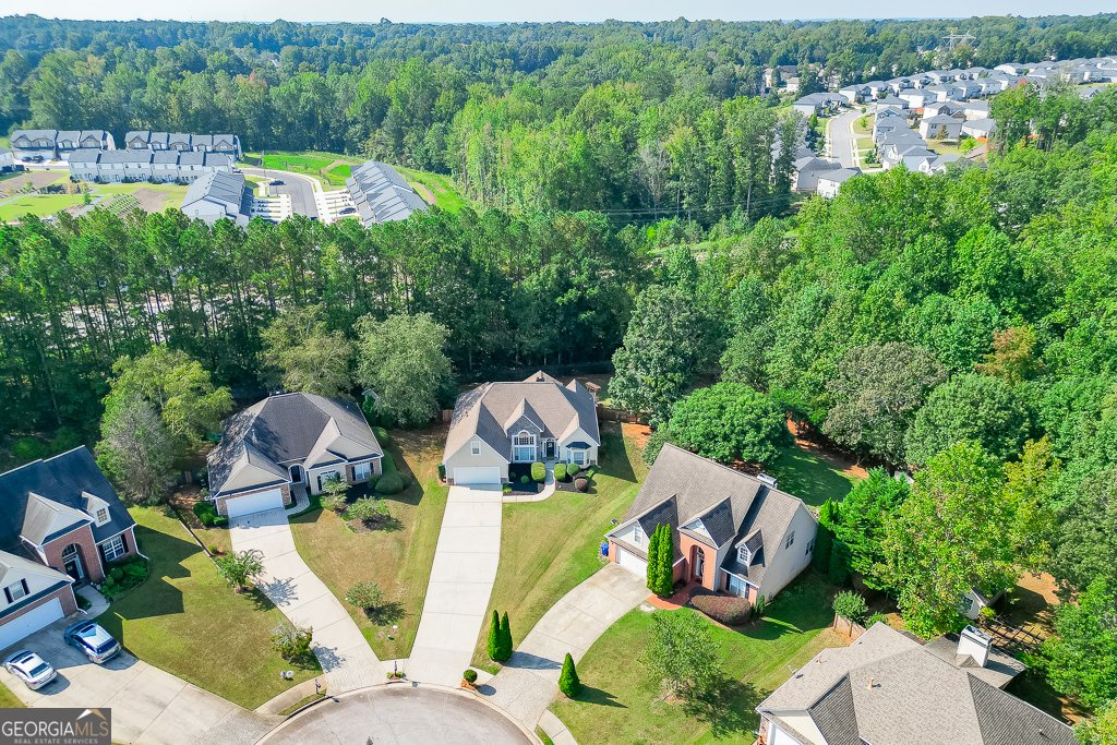 408 Big Leaf Walk McDonough - 18