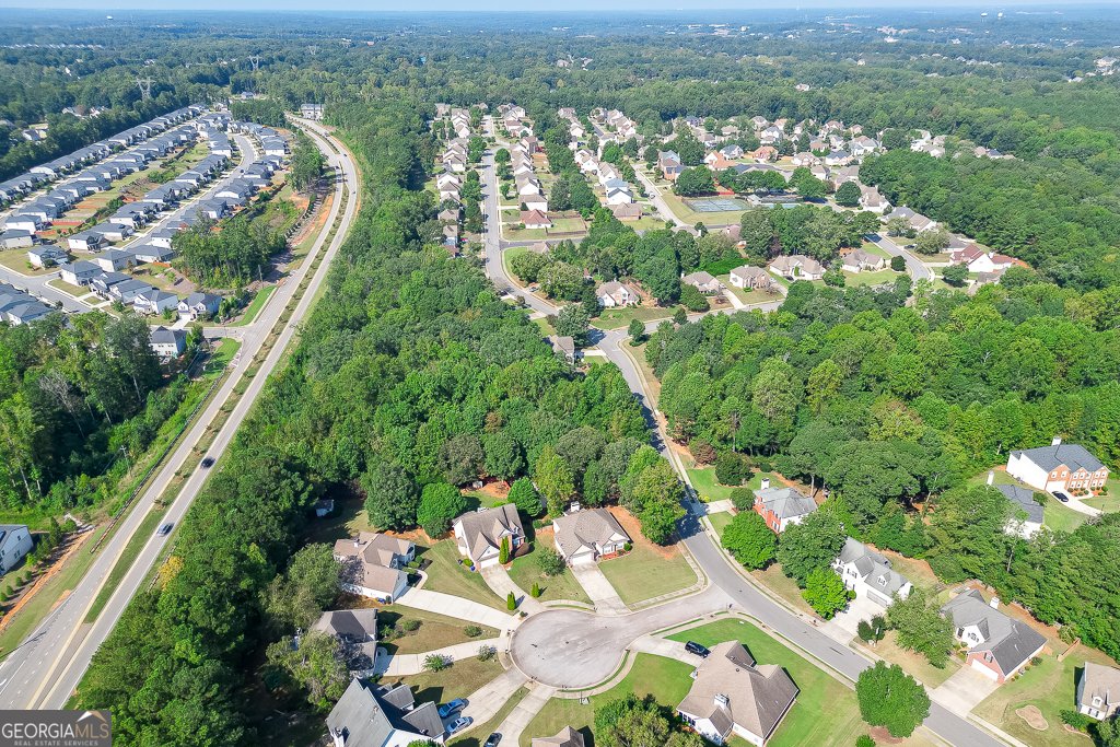 408 Big Leaf Walk McDonough - 21