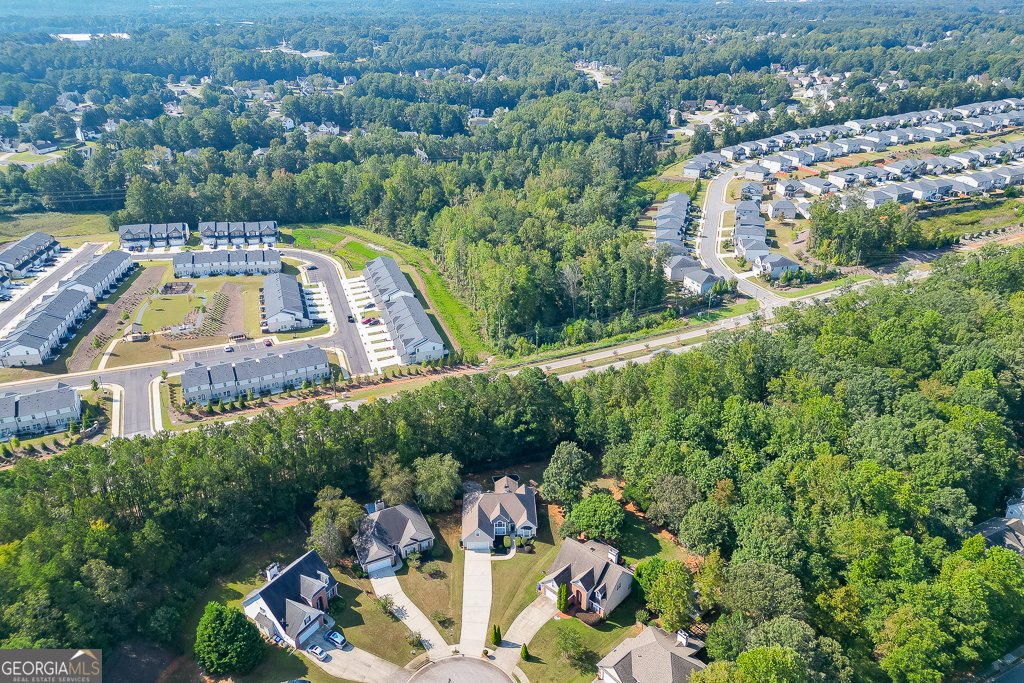 408 Big Leaf Walk McDonough - 51