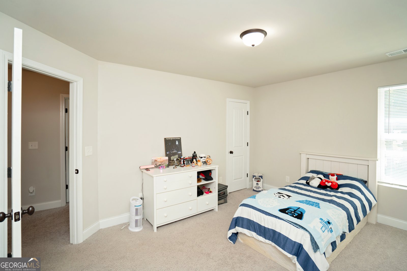 207 Dixon Circle Williamson - 12