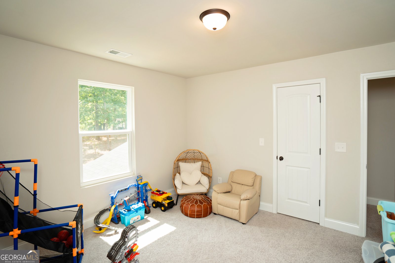 207 Dixon Circle Williamson - 15